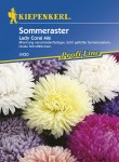 3430_Sommeraster_Lady_Coral_Mix_4000159034303_VS5937826129086