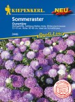 3446-Sommeraster-Ouvertuere-hellblauRGKtOXtu5cAnv