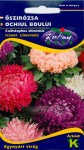 Őszirózsa Peoniavirágú színkeverék